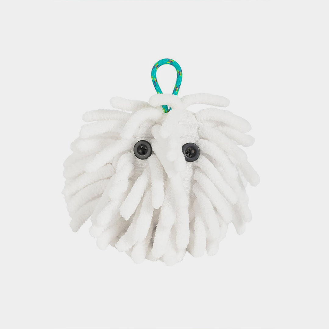Chalctopus
