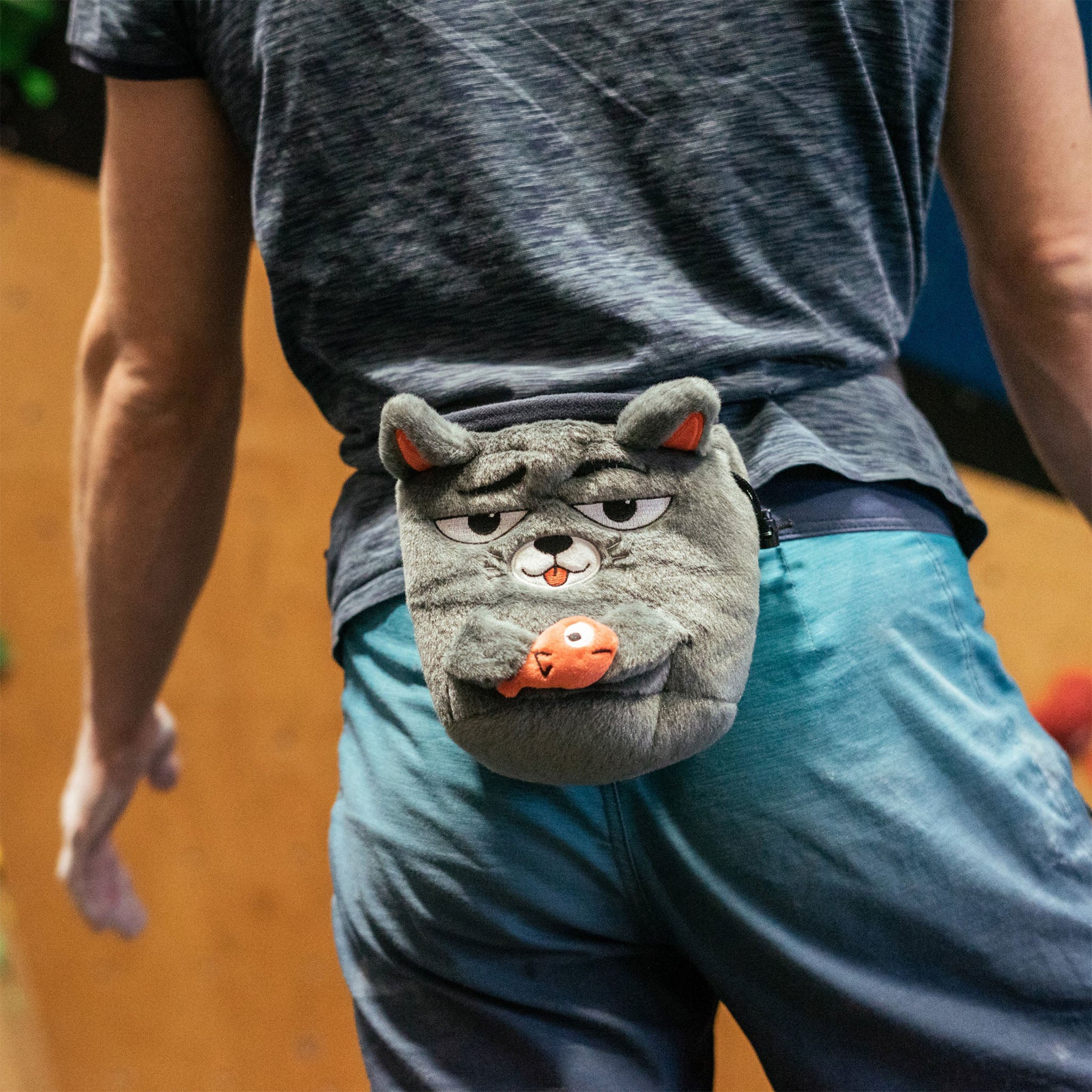 Cat Chalk Bag